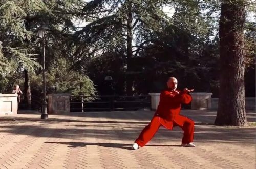 Insegnante di Taiji che guida una classe in palestra