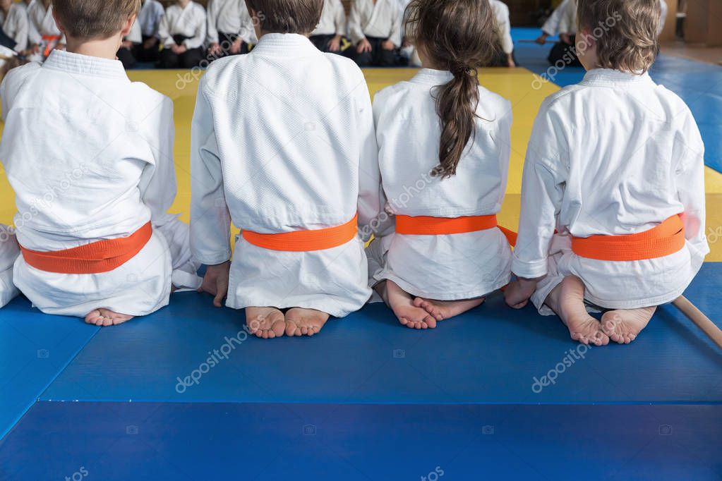 Foto di gruppo a fine lezione con sorrisi e cinture colorate